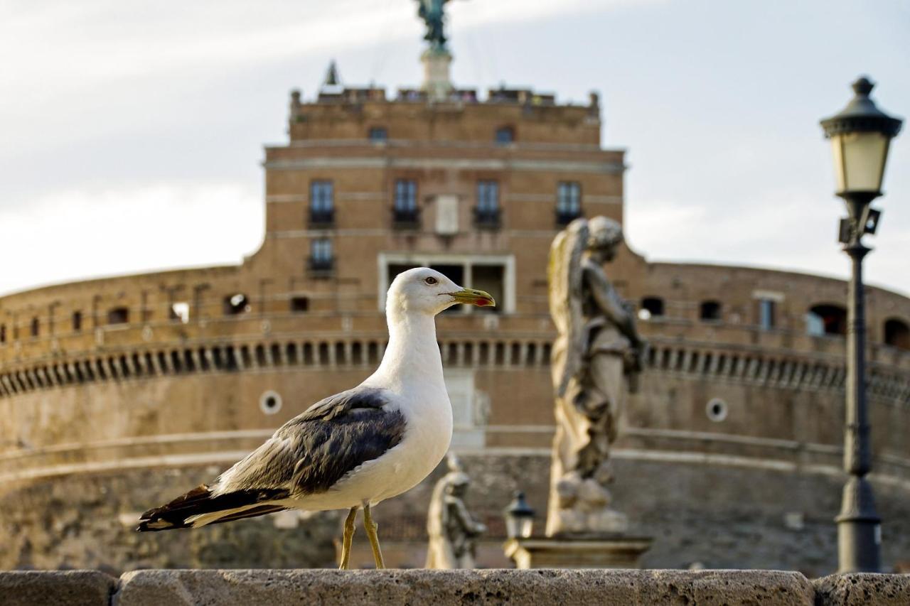 Pensión Vatican